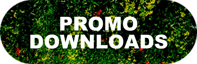 Promo Downloads